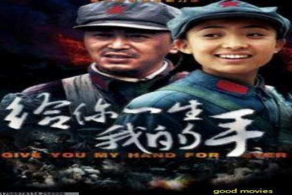 Y行动和舒立克的其它冒险讲解全面