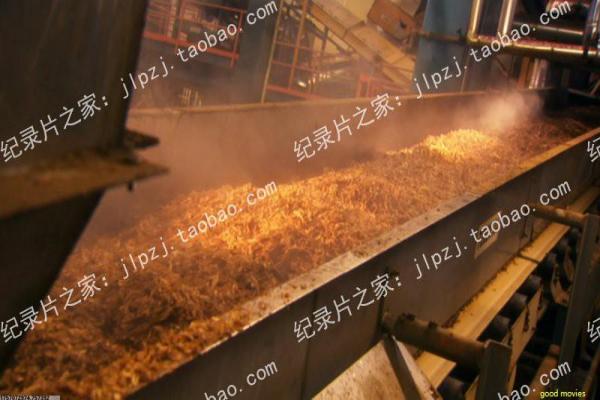 Summer Time影视详解全面,情节发展剖析