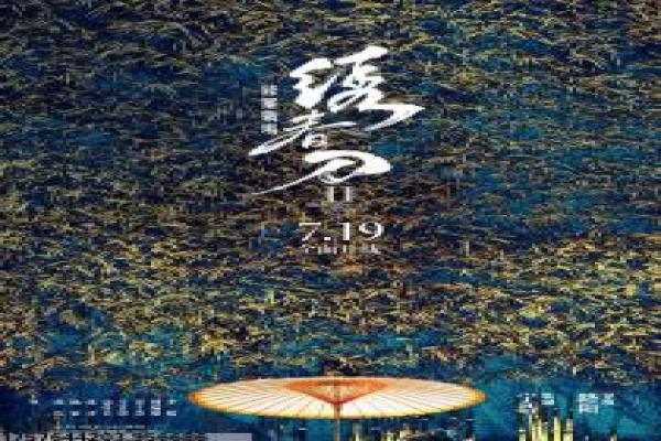 《无枪》枪之无影片简介与和平抗争深度还原
