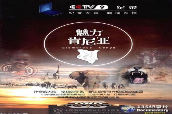 《小武》武之小影片详细分析及小人物奋斗解析