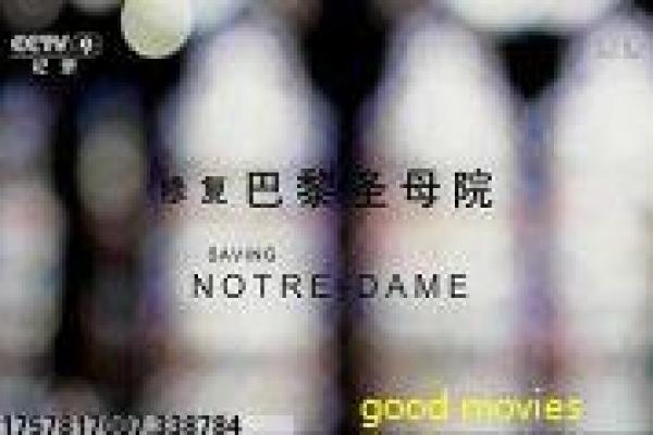 《这个大叔有点酷》影片解析,大叔有点酷生活的都市搞笑剖析