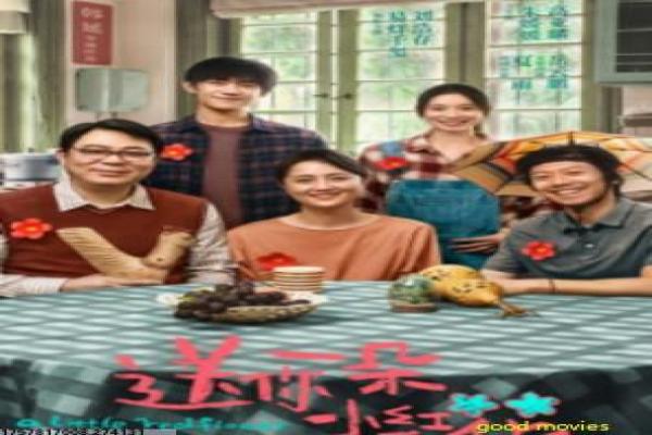 《昏迷不醒》影片简介,不醒昏迷谜案的医疗