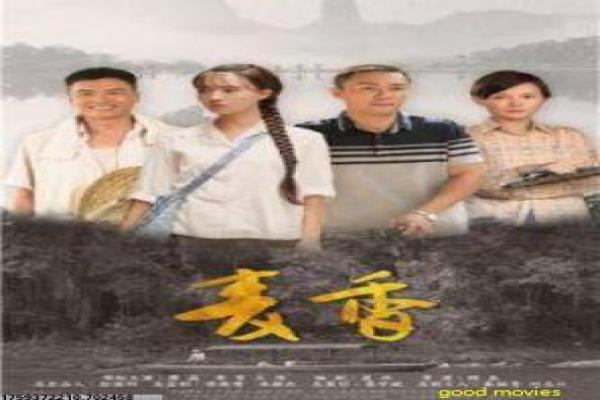 《早安白桦林》影片简介深度,白桦早安的森林生活与纯真