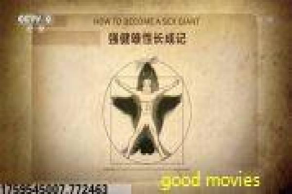 《秘密图纸》秘密军事图纸的谍战故事情节全剧情剖析