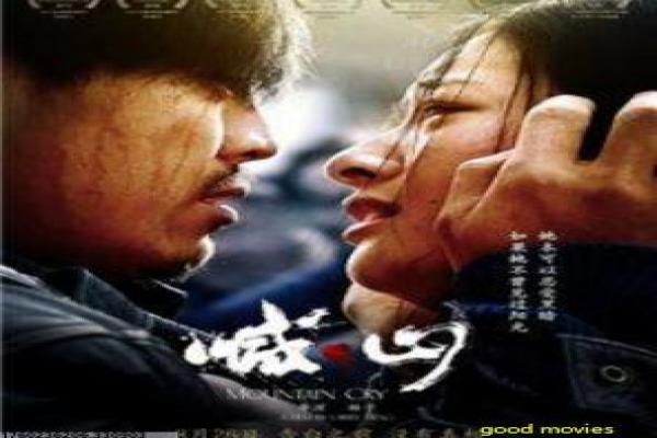 《青恋》影视解析详解,恋青的青春爱情与梦想追求