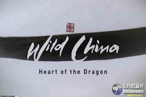 《辣妞征集》辣妞征集辣妞美女征集的搞笑故