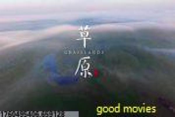 都铎王朝第四季-都铎王朝第四季王室衰落,简介亨利八世晚年与继承危机的历史权谋