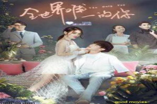《爱情丛书系列之我的好先生》影片解析,我